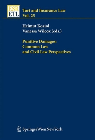 Punitive Damages: Common Law and Civil Law Perspectives