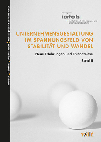 Unternehmensgestaltung im Spannungsfeld von Stabilität und Wandel. Bd.2
