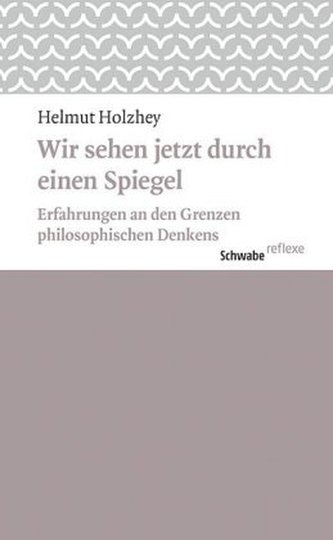 Wir sehen jetzt durch einen Spiegel