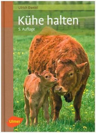 Kühe halten Kühe halten