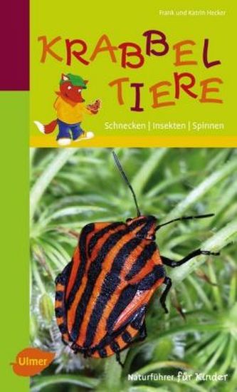 Krabbeltiere