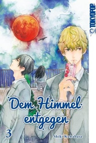 Dem Himmel entgegen. Bd.3