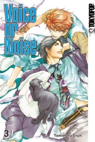 Voice or Noise. Bd.3