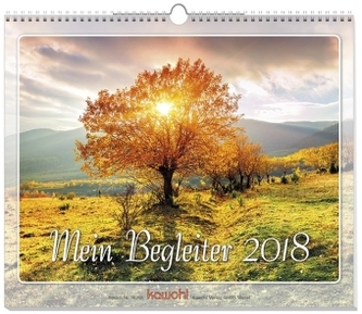 Mein Begleiter 2018