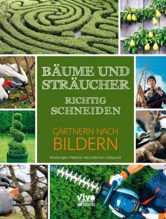 Bäume und Sträucher richtig schneiden Bäume und Sträucher richtig schneiden