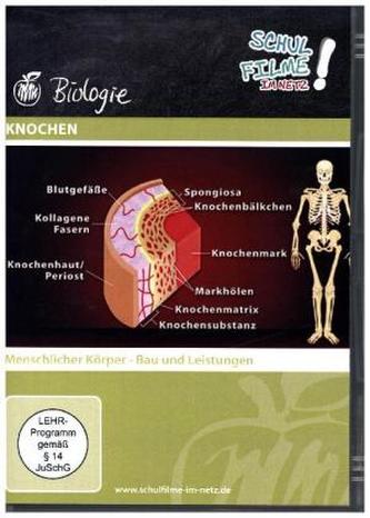 Knochen, 1 DVD