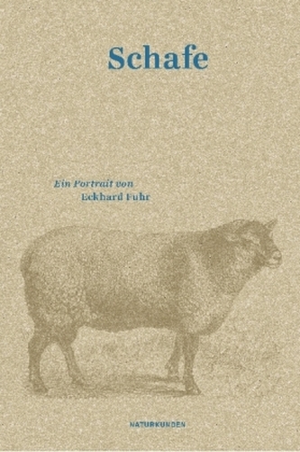 Schafe