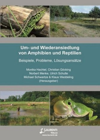 Um- und Wiederansiedlung von Amphibien und Reptilien