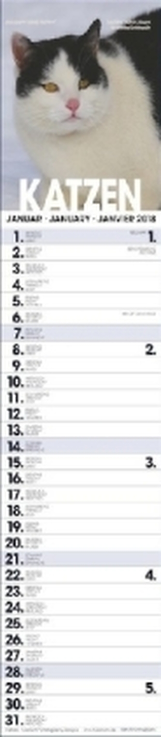 Katzen Planer 2018
