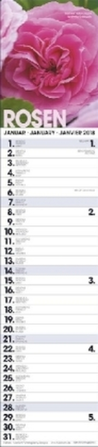 Rosen Planer 2018