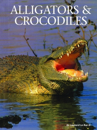 Alligators & Crocodiles
