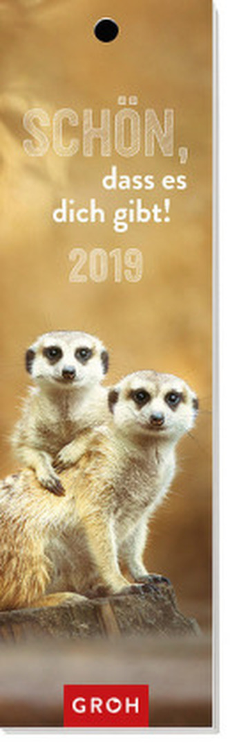 Schön, dass es dich gibt 2019