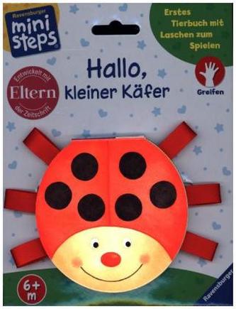 Hallo, kleiner Käfer