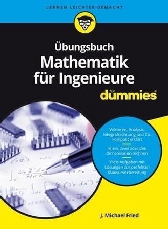 Übungsbuch Mathematik für Ingenieure für Dummies