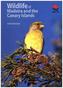 Wildlife of Madeira and the Canary Islands