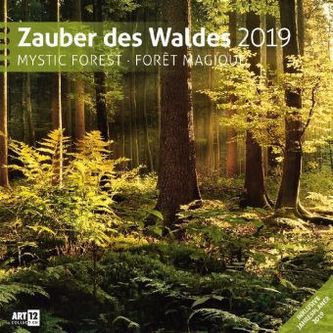 Zauber des Waldes 2019