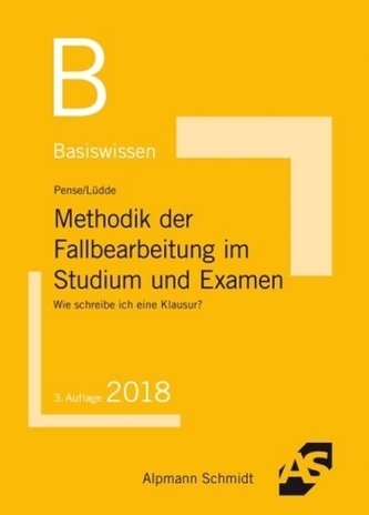 Basiswissen Methodik der Fallbearbeitung