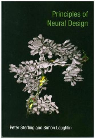 Principles of Neural Design