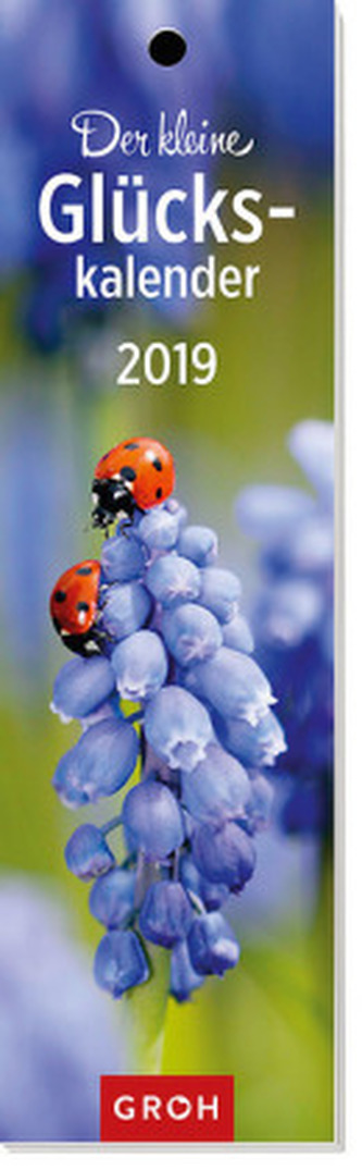 Der kleine Glückskalender 2019