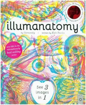 Illumanatomy