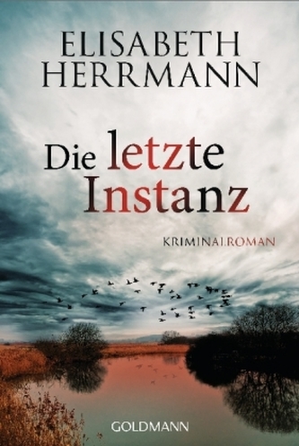 Die letzte Instanz