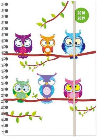 Collegetimer Owls 2018/2019 - Schülerkalender A5 - Weekly - Ringbindung