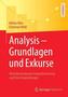 Analysis - Grundlagen und Exkurse