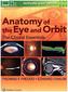 Anatomy of the Eye and Orbit, None