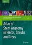 Atlas of Stem Anatomy in Herbs, Shrubs and Trees