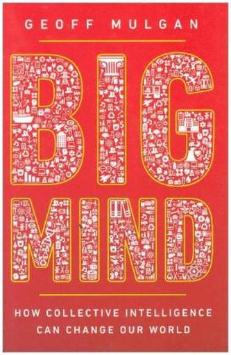 Big Mind
