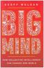 Big Mind