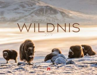 Nomaden der Wildnis 2019