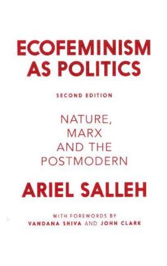 Ecofeminism as Politics