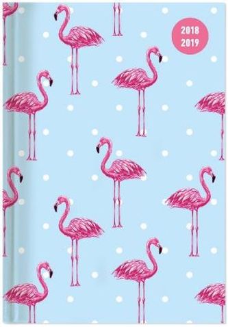 Collegetimer Flamingo 2018/2019 - Schülerkalender A5 - Weekly