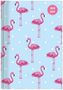 Collegetimer Flamingo 2018/2019 - Schülerkalender A5 - Weekly