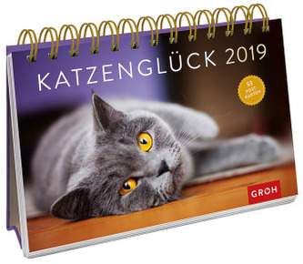 Katzenglück 2019