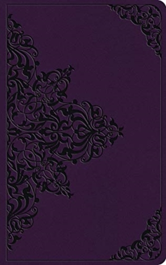 ESV Large Print Value Thinline Bible