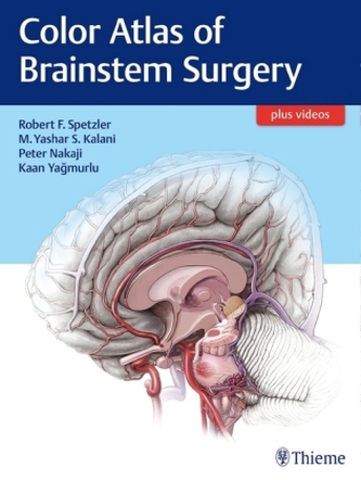 Color Atlas of Brainstem Surgery Color Atlas of Brainstem Surgery