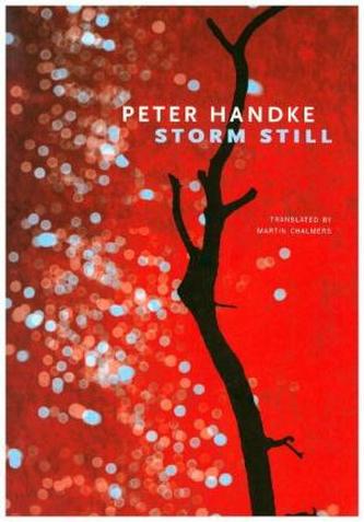 Storm Still