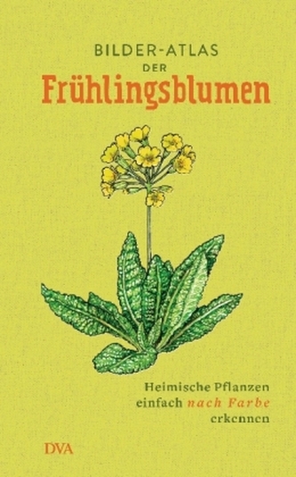 Bilder-Atlas der Frühlingsblumen Bilder-Atlas der Frühlingsblumen