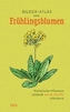 Bilder-Atlas der Frühlingsblumen