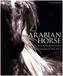 The Arabian Horse