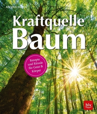 Kraftquelle Baum