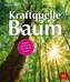 Kraftquelle Baum