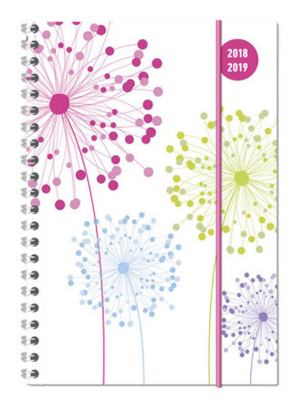 Collegetimer A5 Woche Blowballs Ringbuch 2018/2019