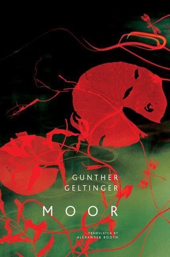 Moor, English edition Moor, English edition