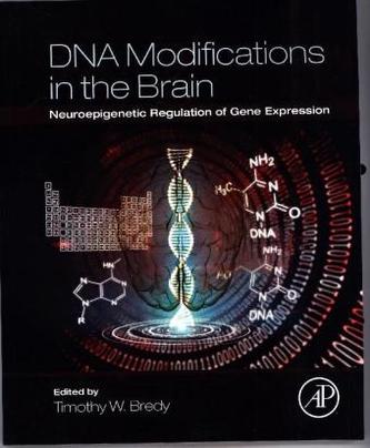 DNA Modifications in the Brain