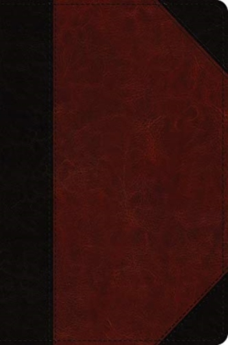 ESV Journaling New Testament, Inductive Edition