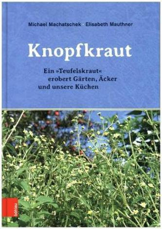 Das Knopfkraut Das Knopfkraut