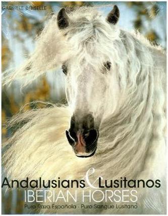 Andalusians & Lusitanos